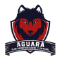 Escudo CDSC Aguará