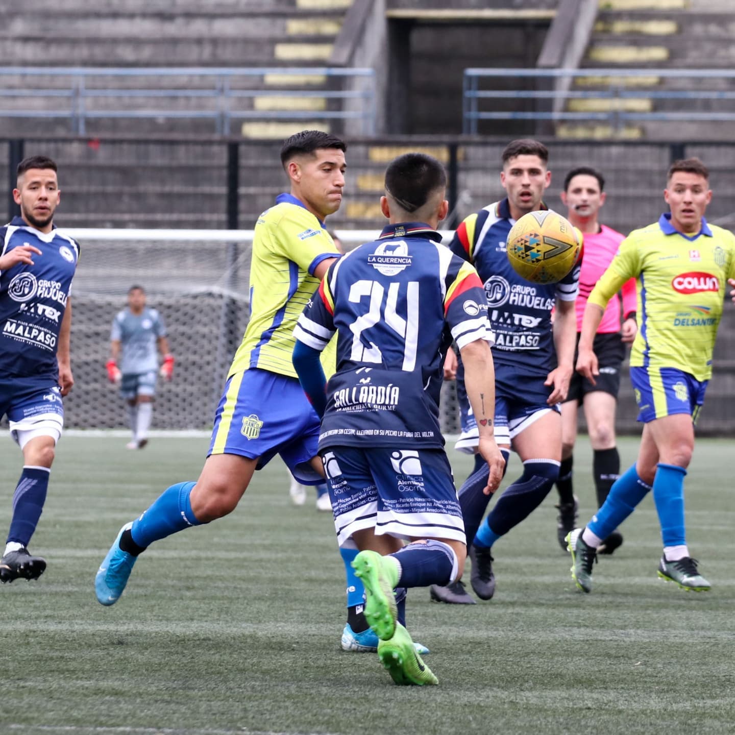 Prov. Osorno – Prov. Ranco: Las Evidencias